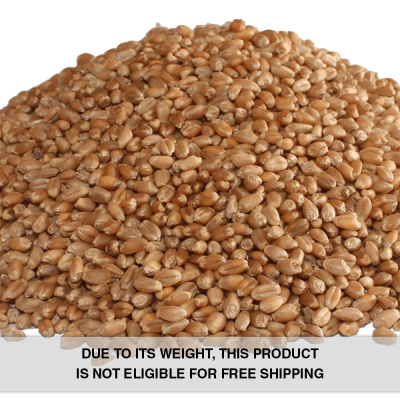 Wheat, Red Hard Spring - Organic - 22.70 kg Bag