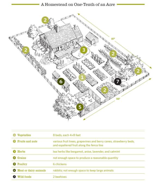 The Backyard Homestead Book - Delicious Emergency & Outdoor Food from ...