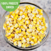 Sweet Corn - Freeze Dried (Nutristore #10 Can)