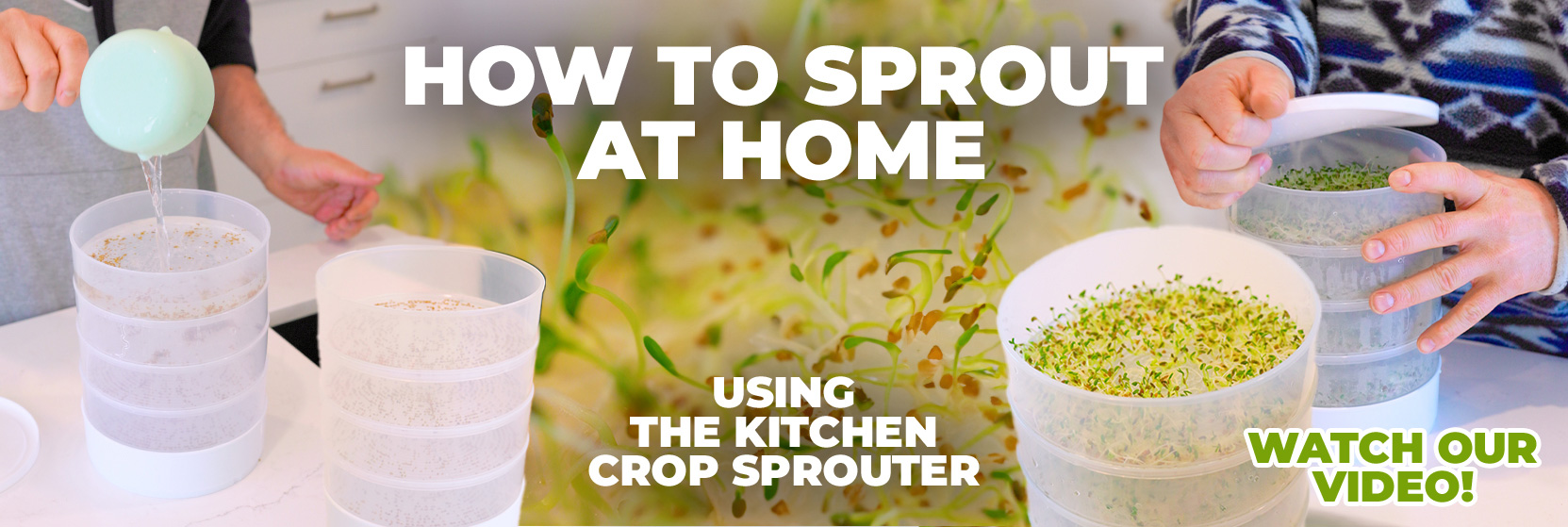 Kitchen Crop Sprouter Video